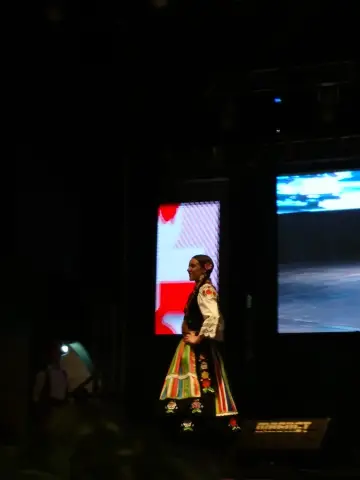 Fiesta Las Raíces 2019