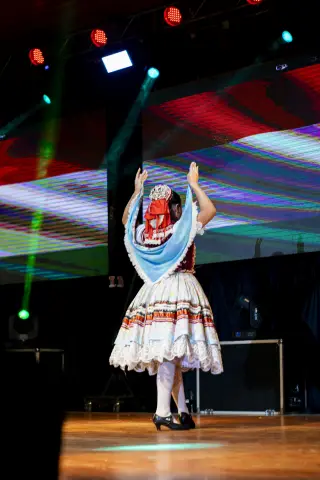 Fiesta Las Raíces 2023