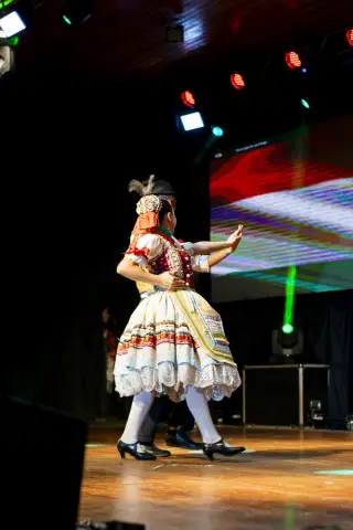Fiesta Las Raíces 2023