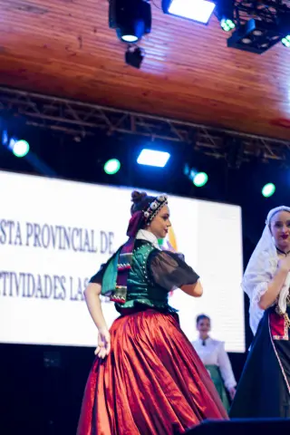 Fiesta Las Raíces 2024