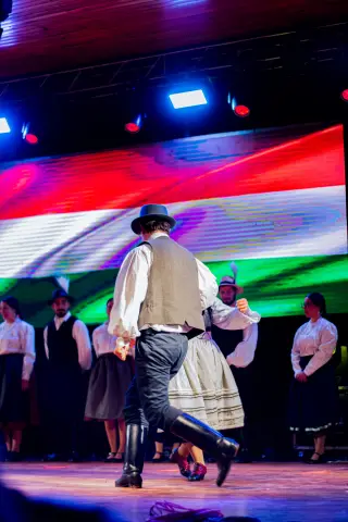 Fiesta Las Raíces 2024