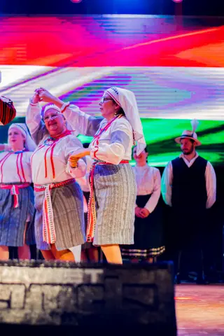 Fiesta Las Raíces 2024
