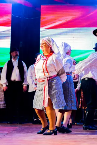 Fiesta Las Raíces 2024