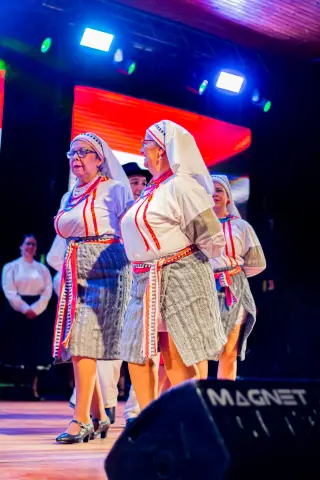 Fiesta Las Raíces 2024