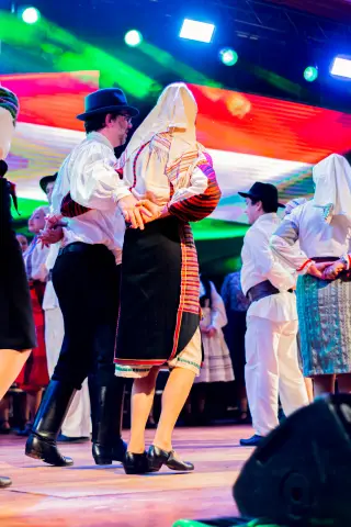 Fiesta Las Raíces 2024