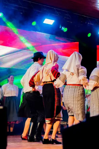 Fiesta Las Raíces 2024