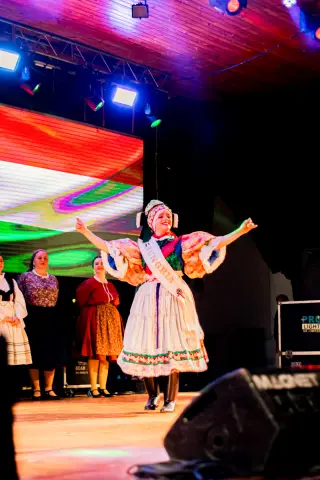 Fiesta Las Raíces 2024