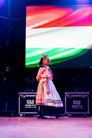 Fiesta Las Raíces 2024