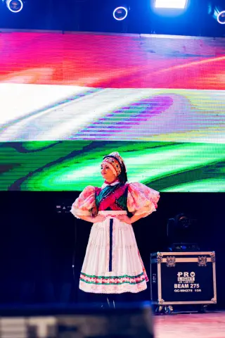 Fiesta Las Raíces 2024