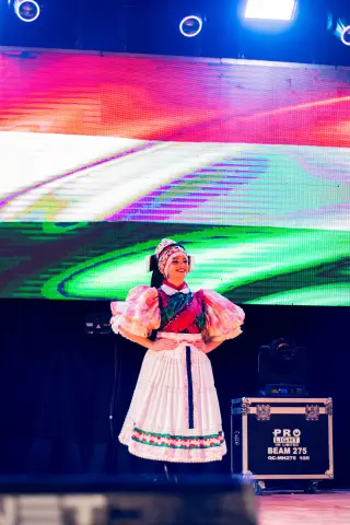 Fiesta Las Raíces 2024
