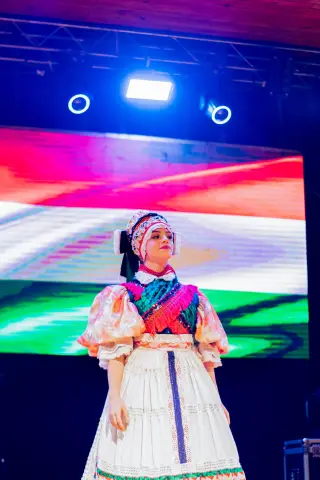 Fiesta Las Raíces 2024