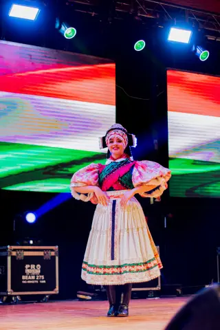 Fiesta Las Raíces 2024