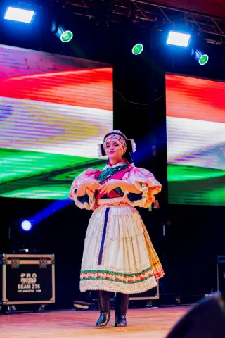 Fiesta Las Raíces 2024