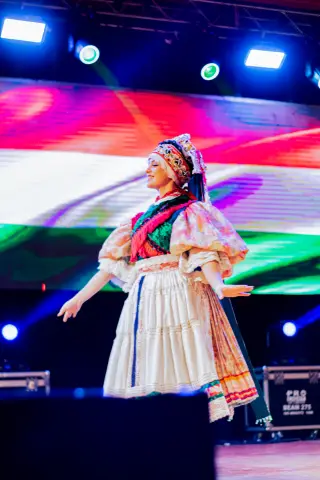 Fiesta Las Raíces 2024