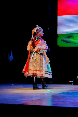 Fiesta Las Raíces 2024