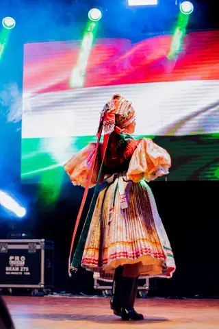 Fiesta Las Raíces 2024