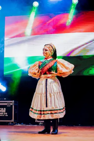 Fiesta Las Raíces 2024