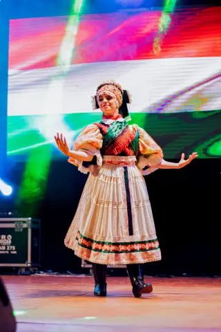 Fiesta Las Raíces 2024