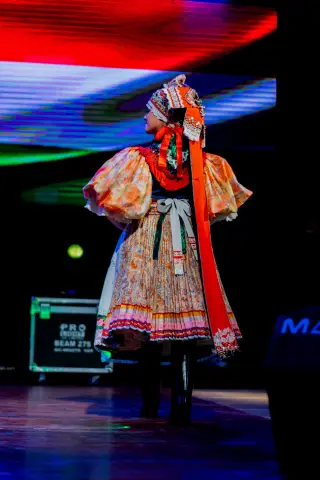 Fiesta Las Raíces 2024