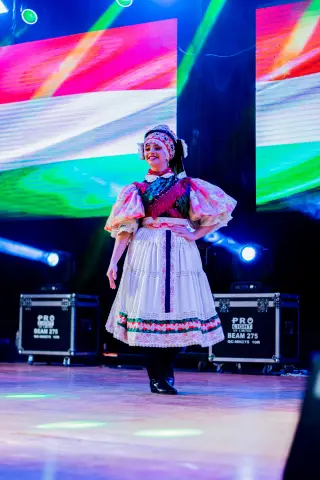 Fiesta Las Raíces 2024