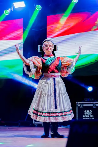 Fiesta Las Raíces 2024