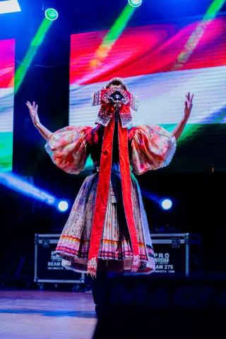 Fiesta Las Raíces 2024