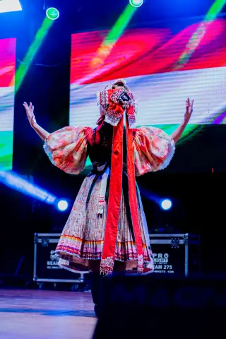 Fiesta Las Raíces 2024
