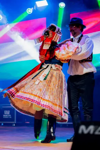Fiesta Las Raíces 2024