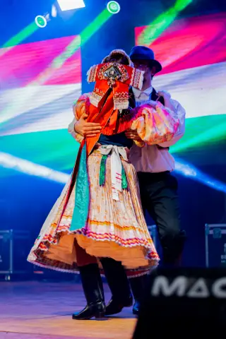 Fiesta Las Raíces 2024