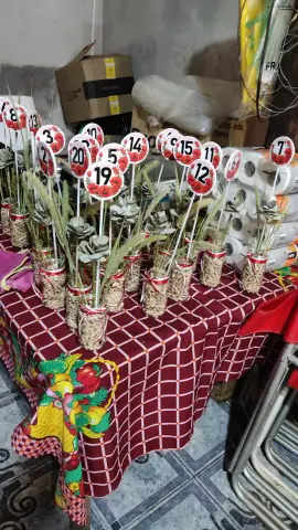 Fiesta Las Raíces 2025