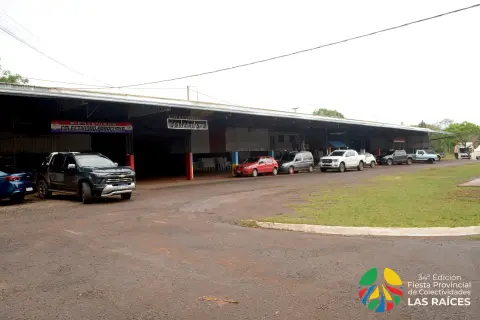 Preparativos para la Fiesta