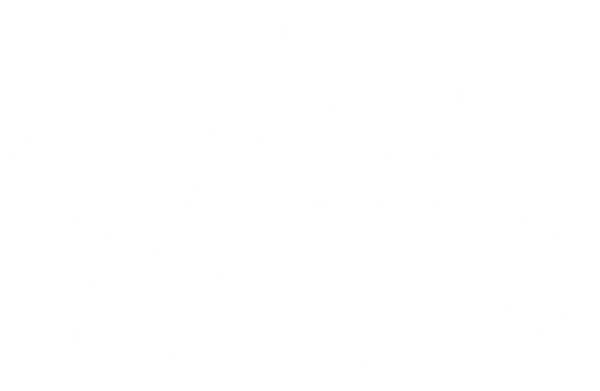 Caffe Venezia Gourmet